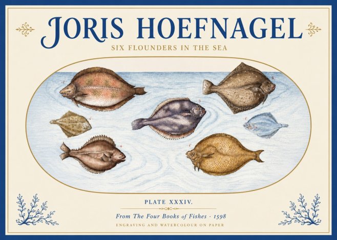 Joris Hoefnagel Six Flounders in the Sea No3 - Poster
