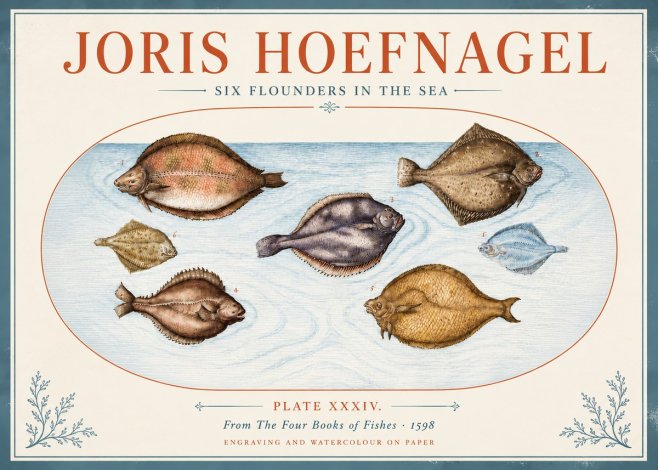 Joris Hoefnagel Six Flounders in the Sea No4 - Poster