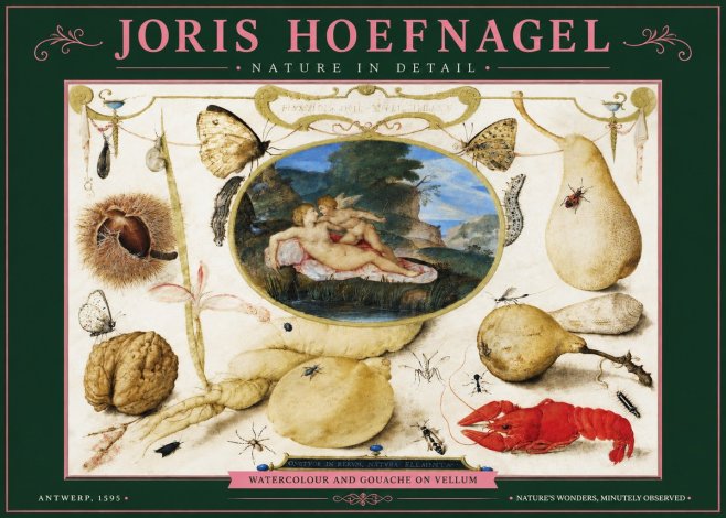 Joris Hoefnagel Nature in Detail No3 - Poster