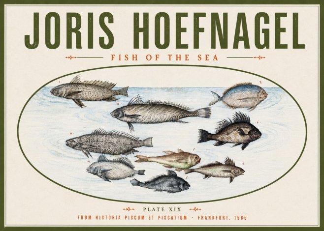 Joris Hoefnagel Fish of the Sea No4 - Poster
