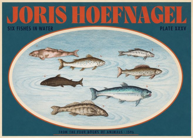 Joris Hoefnagel Six Fishes in Water I No2 - Poster