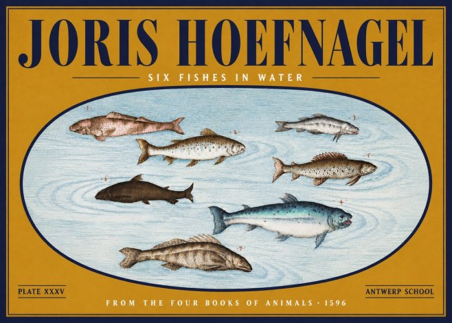 Joris Hoefnagel Six Fishes in Water I No4 - Poster
