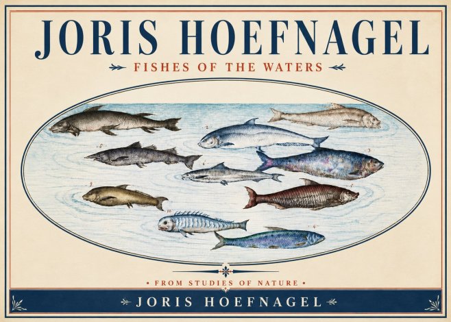 Joris Hoefnagel Fishes of the Waters II No4 - Poster