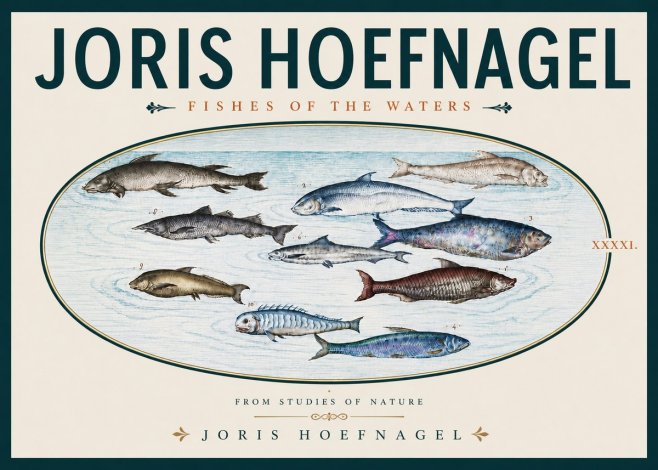 Joris Hoefnagel Fishes of the Waters II No5 - Poster