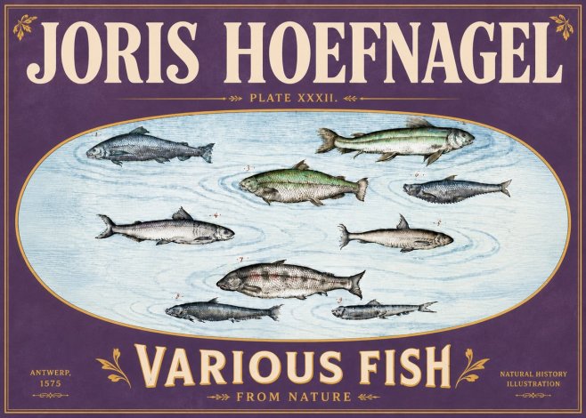 Joris Hoefnagel Various Fish from Nature No6 - Poster