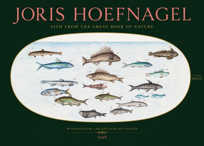 Joris Hoefnagel Fish from the Great Book of Nature No2 - Poster