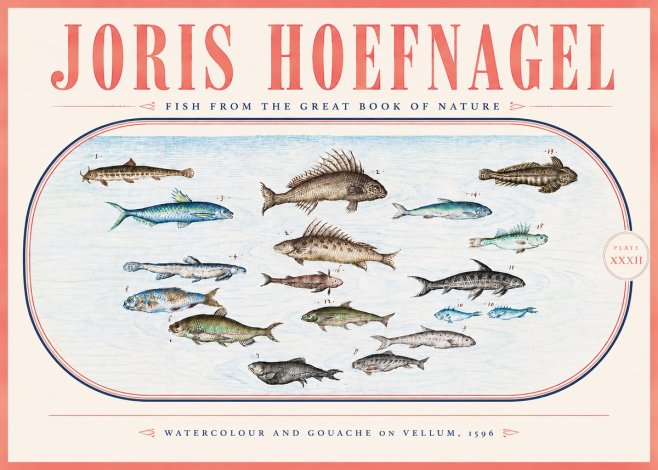 Joris Hoefnagel Fish from the Great Book of Nature No5 - Poster