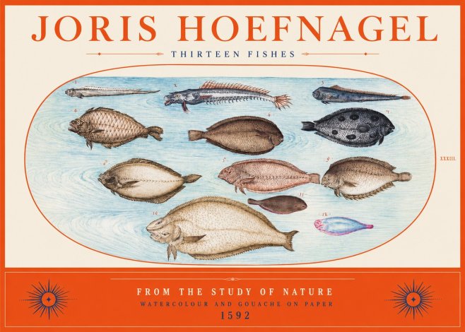 Joris Hoefnagel Thirteen Fishes from the Study of Nature No2 - Poster
