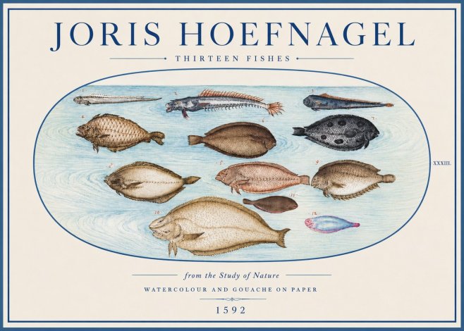 Joris Hoefnagel Thirteen Fishes from the Study of Nature No4 - Poster
