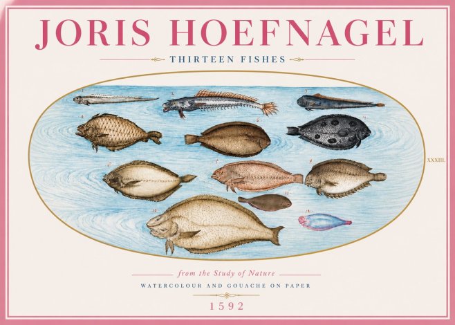 Joris Hoefnagel Thirteen Fishes from the Study of Nature No5 - Poster