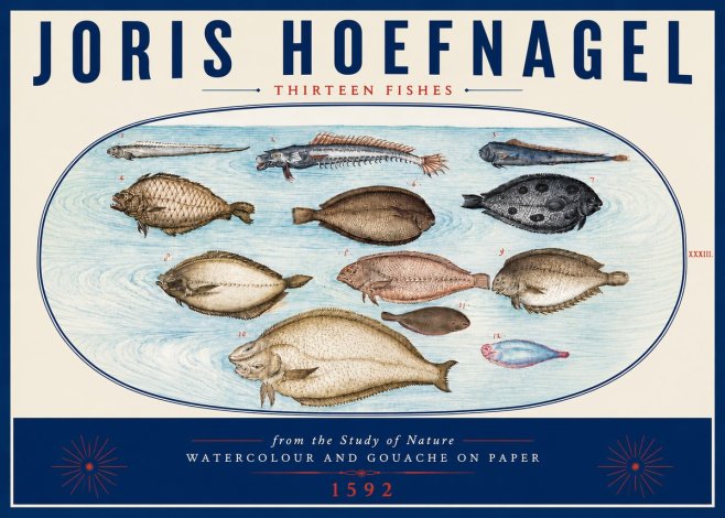 Joris Hoefnagel Thirteen Fishes from the Study of Nature No6 - Poster