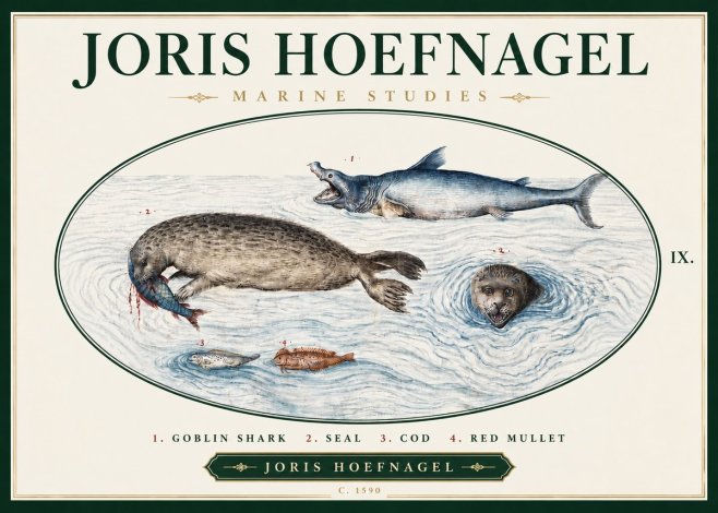 Joris Hoefnagel Marine Studies No3 - Poster