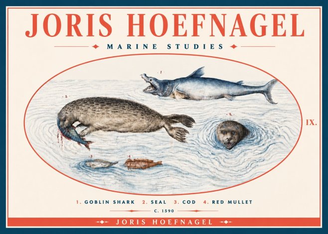 Joris Hoefnagel Marine Studies No4 - Poster