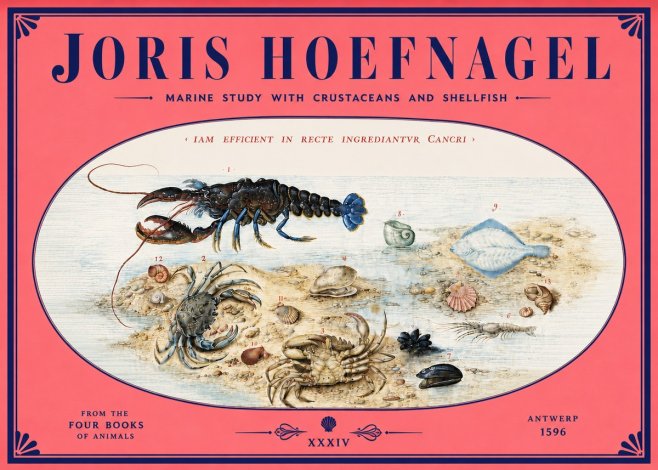 Joris Hoefnagel Marine Study with Crustaceans and Shellfish No4 - Poster