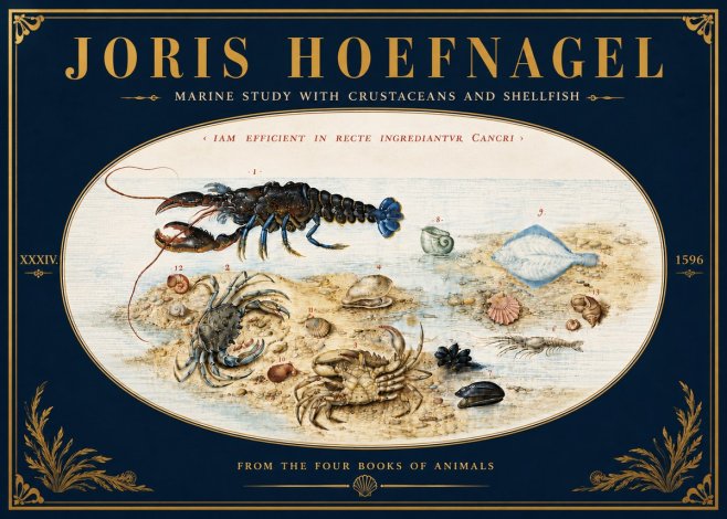 Joris Hoefnagel Marine Study with Crustaceans and Shellfish No6 - Poster