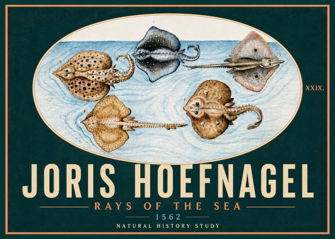 Joris Hoefnagel Rays of the Sea No5 - Poster
