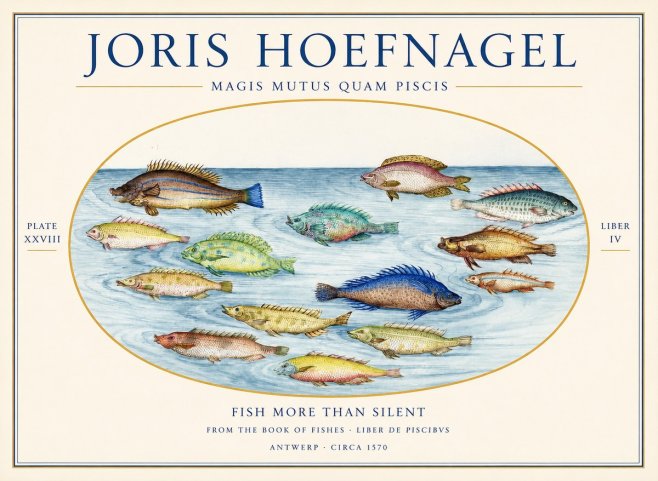 Joris Hoefnagel Fish More Than Silent No1 - Poster