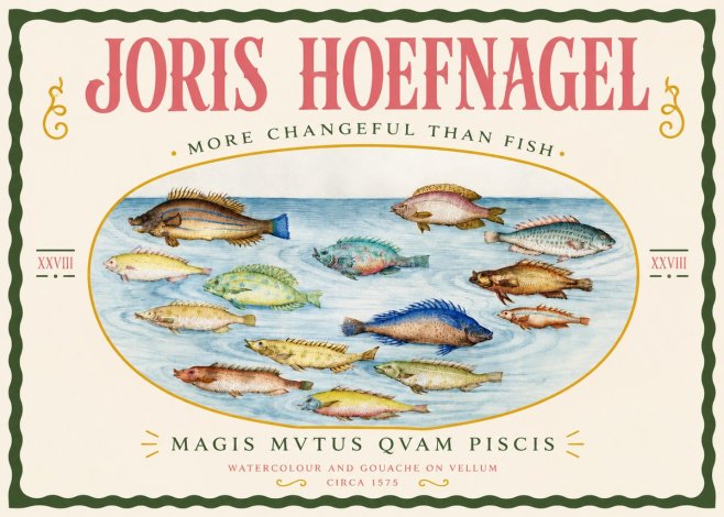 Joris Hoefnagel Fish More Than Silent No4 - Poster