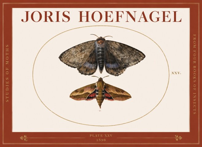 Joris Hoefnagel Studies of Moths I No3 - Poster