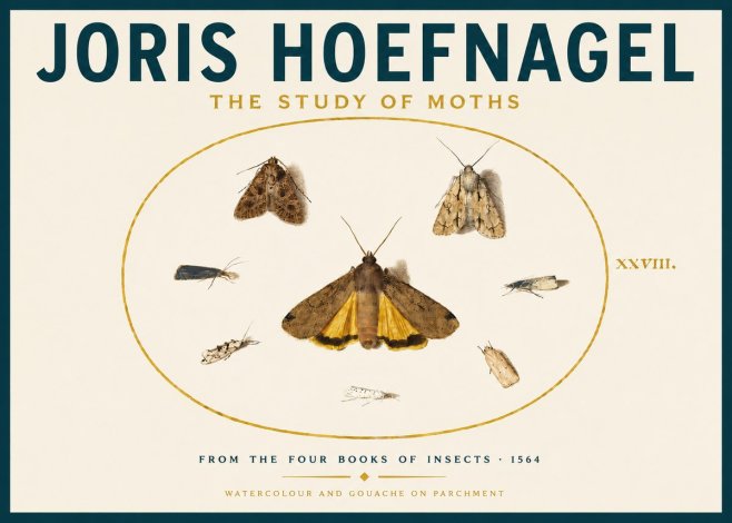 Joris Hoefnagel Study of Moths and Insects No6 - Poster