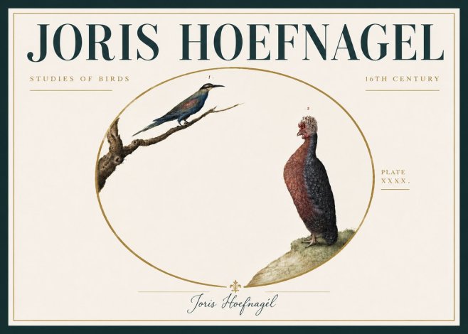 Joris Hoefnagel Studies of Birds I No6 - Poster