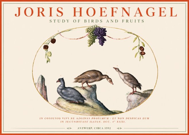 Joris Hoefnagel Three Birds with Grapes and Inscription No4 - Poster