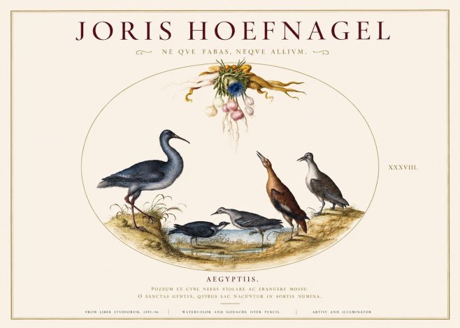 Joris Hoefnagel Aegyptiis. No1 - Poster
