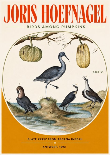 Joris Hoefnagel Birds and Fruits No4 - Poster