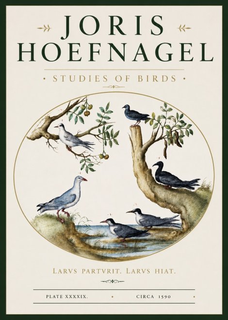 Joris Hoefnagel Studies of Birds II No3 - Poster