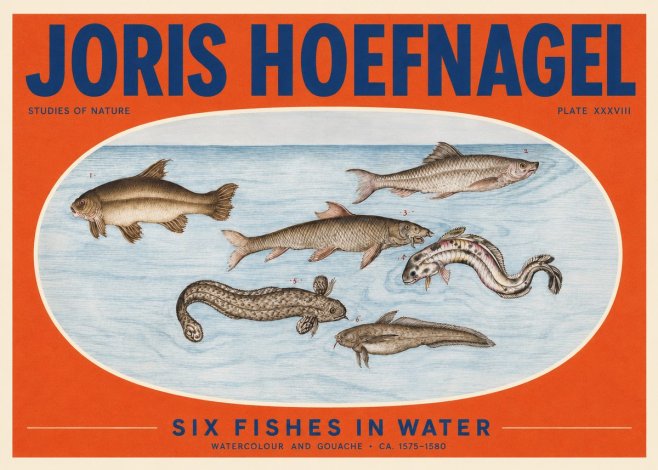 Joris Hoefnagel Six Fishes in Water II No2 - Poster
