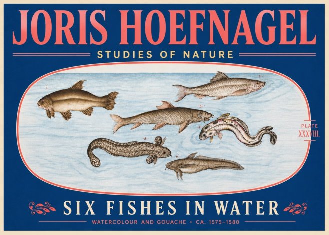 Joris Hoefnagel Six Fishes in Water II No5 - Poster