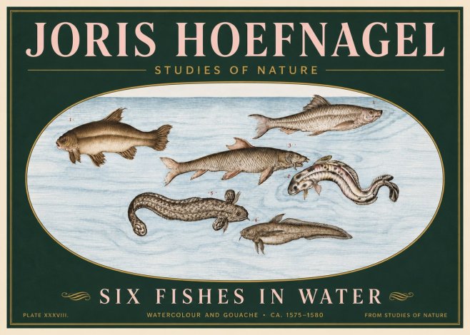 Joris Hoefnagel Six Fishes in Water II No6 - Poster