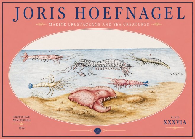 Joris Hoefnagel Marine Crustaceans and Sea Creature No4 - Poster