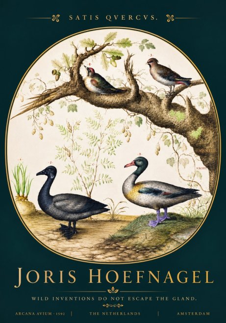 Joris Hoefnagel Satis Quercus. Birds of the Marsh No4 - Poster