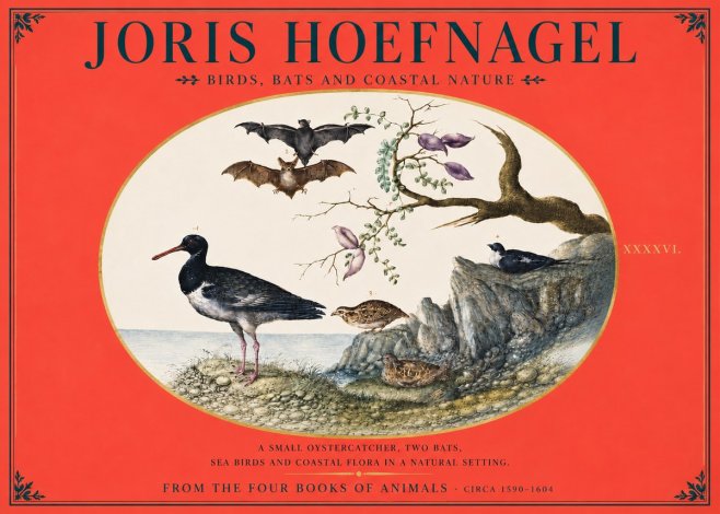 Joris Hoefnagel Birds, Bats and Coastal Nature No4 - Poster