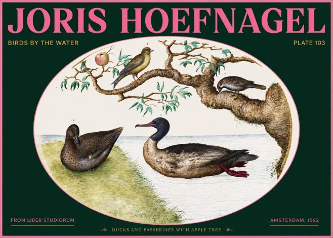 Joris Hoefnagel Ducks and Passerines with Apple Tree No2 - Poster