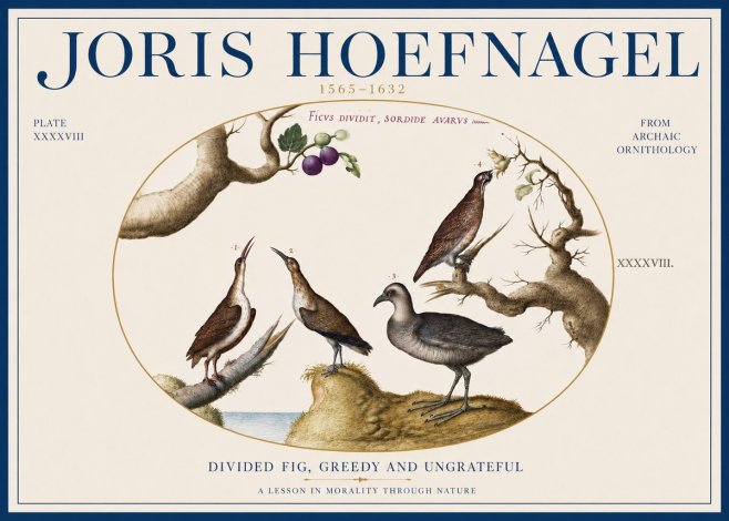 Joris Hoefnagel Birds from the Four Parts of the World No4 - Poster