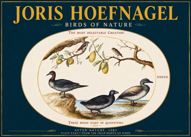 Joris Hoefnagel Plate Xxxvii from the Four Books of Birds No4 - Poster