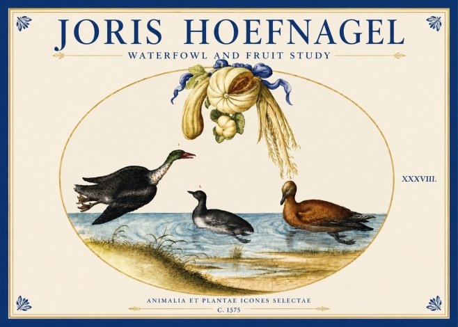 Joris Hoefnagel Waterfowl and Fruit Study No3 - Poster
