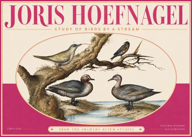 Joris Hoefnagel Study of Birds by a Stream No4 - Poster