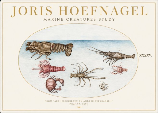 Joris Hoefnagel Studies of Crustaceans No2 - Poster