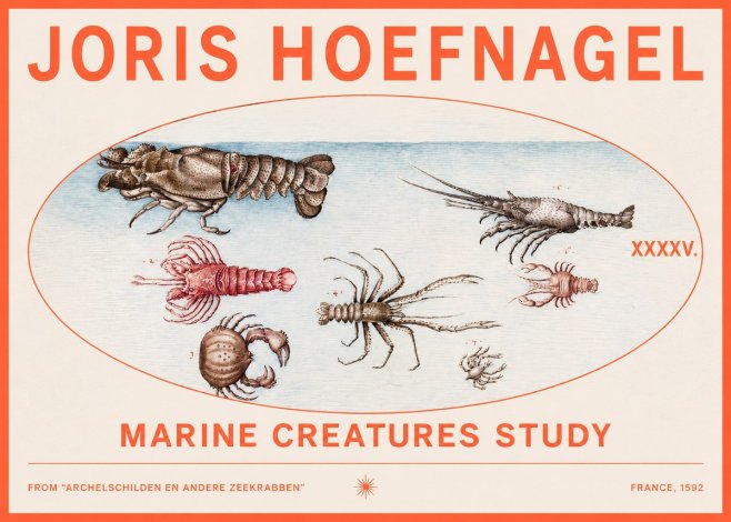 Joris Hoefnagel Studies of Crustaceans No3 - Poster