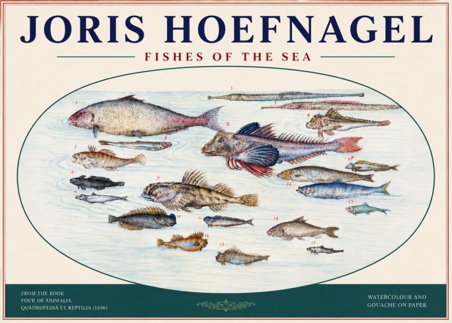 Joris Hoefnagel Fishes of the Sea III No4 - Poster