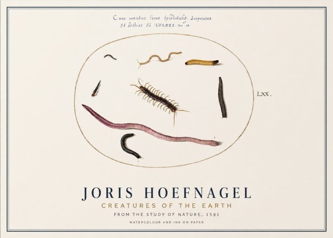 Joris Hoefnagel Creatures of the Earth II No1 - Poster