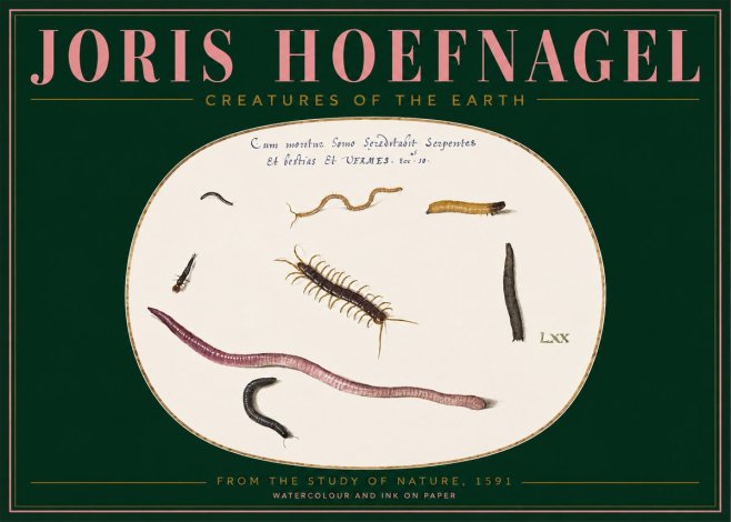 Joris Hoefnagel Creatures of the Earth II No2 - Poster