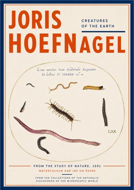 Joris Hoefnagel Creatures of the Earth II No3 - Poster