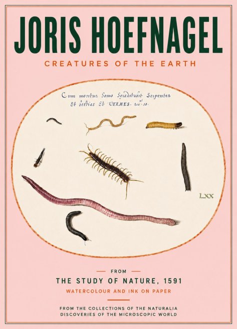 Joris Hoefnagel Creatures of the Earth II No4 - Poster