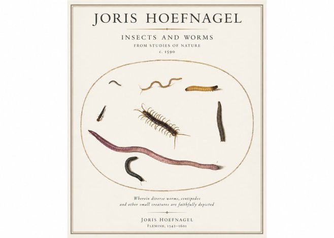 Joris Hoefnagel Creatures of the Earth II No5 - Poster
