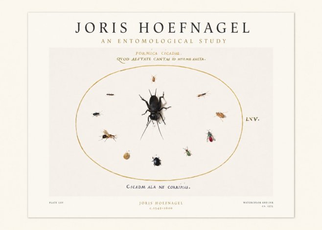 Joris Hoefnagel Formica Cicadae No1 - Poster