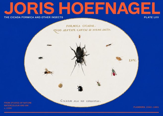 Joris Hoefnagel Formica Cicadae No6 - Poster